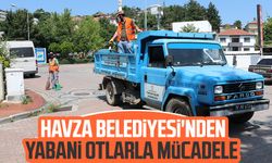 Havza Belediyesi'nden yabani otlarla mücadele