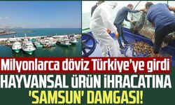 Hayvansal ürün ihracatına 'Samsun' damgası! Milyonlarca döviz Türkiye’ye girdi