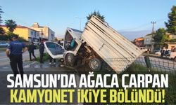 Samsun'da ağaca çarpan kamyonet ikiye bölündü!