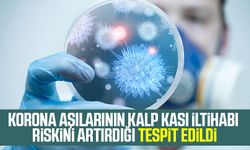 Korona aşılarının kalp kası iltihabı riskini artırdığı tespit edildi