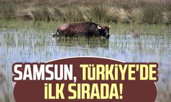 Samsun, Türkiye'de ilk sırada!