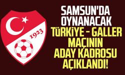 Samsun'da oynanacak Türkiye - Galler maçının aday kadrosu açıklandı!