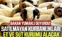 Bakan Yumaklı duyurdu! Satılmayan kurbanlıkları Et ve Süt Kurumu alacak