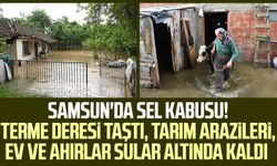 Samsun'da sel kabusu! Terme Deresi taştı, tarım arazileri, ev ve ahırlar sular altında kaldı