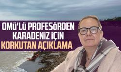 OMÜ'lü profesörden Karadeniz için korkutan açıklama