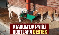 Atakum Belediyesi'nden patili dostlara destek