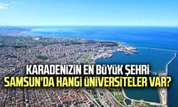 Karadenizin en büyük şehri Samsun'da hangi üniversiteler var?