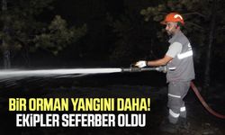 Bir orman yangını daha! Ekipler seferber oldu