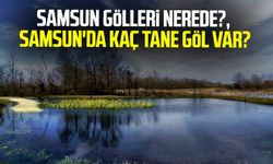 Samsun gölleri nerede?, Samsun'da kaç tane göl var?