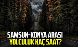 Samsun-Konya arası yolculuk kaç saat?