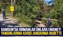 Samsun'da ormanlar onlara emanet! Yangınlarına karşı jandarma nöbette