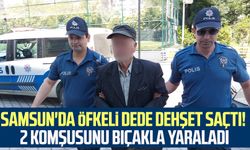 Samsun'da öfkeli dede dehşet saçtı! 2 komşusunu bıçakla yaraladı