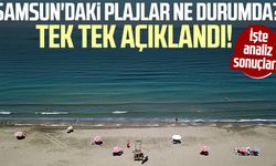 Samsun'daki plajlar ne durumda? Tek tek açıklandı! İşte analiz sonuçları