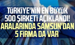 Türkiye'nin en büyük 500 şirketi açıklandı! Aralarında Samsun'dan 5 firma da var 