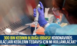 300 bin kedinin öldüğü iddiası! Koronavirüs ilaçları kedilerin tedavisi için mi kullanılacak?