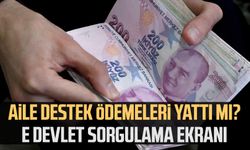 Aile destek ödemeleri yattı mı? E devlet sorgulama ekranı