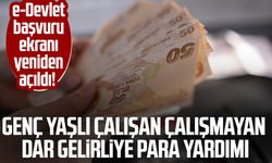 e-Devlet başvuru ekranı yeniden açıldı! Genç yaşlı çalışan çalışmayan dar gelirliye para yardımı