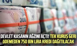 Devlet kasanın ağzını açtı! Tek kuruş geri ödemeden 750 bin lira kredi dağıtılacak