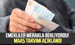 Emekliler merakla bekliyordu! Maaş takvimi açıklandı