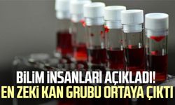 Bilim insanları açıkladı! En zeki kan grubu ortaya çıktı