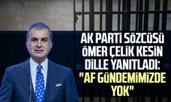 AK Parti Sözcüsü Ömer Çelik kesin dille yanıtladı: "Af gündemimizde yok"