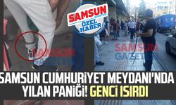 Samsun Cumhuriyet Meydanı'nda yılan paniği! Genci ısırdı