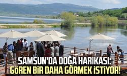 Samsun'da doğa harikası: Gören bir daha görmek istiyor!