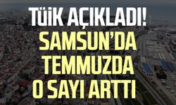 TÜİK açıkladı! Samsun'da temmuz ayında o sayı arttı