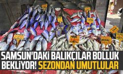 Samsun'daki balıkçılar bolluk bekliyor! Sezondan umutlular