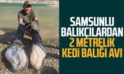 Samsunlu balıkçılardan 2 metrelik kedi balığı avı