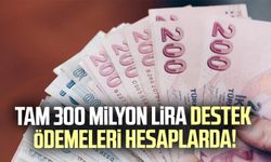 Tam 300 milyon lira destek ödemeleri hesaplarda!