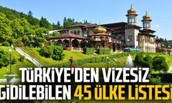 Türkiye'den vizesiz gidilebilen 45 ülke listesi