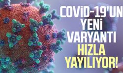 Covid-19'un yeni varyantı hızla yayılıyor!