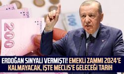Erdoğan sinyali vermişti! Emekli zammı 2024'e kalmayacak, işte Meclis'e geleceği tarih