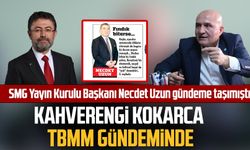 SMG Yayın Kurulu Başkanı Necdet Uzun gündeme taşımıştı! Kahverengi kokarca TBMM gündeminde