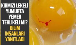 Kırmızı lekeli yumurta yemek tehlikeli mi? Bilim insanları yanıtladı