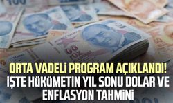 Orta Vadeli Program açıklandı! İşte hükümetin yıl sonu dolar ve enflasyon tahmini