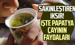 Sakinleştiren iksir! İşte papatya çayının faydaları