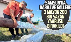 Samsun'da baraj ve göllere 3 milyon 200 bin sazan yavrusu bırakıldı