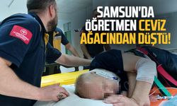 Samsun'da öğretmen ceviz ağacından düştü!