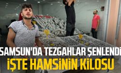 Samsun'da tezgahlar şenlendi! Hamsinin kilosu ne kadar?