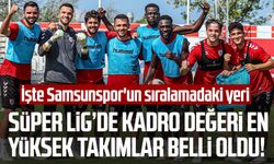 Süper Lig’de kadro değeri en yüksek takımlar belli oldu! İşte Samsunspor'un sıralamadaki yeri