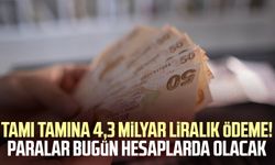 Tamı tamına 4,3 milyar liralık ödeme! Paralar bugün hesaplarda olacak