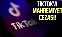 TikTok'a mahremiyet cezası! 345 milyon euro ödeyecek