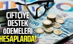 Çiftçiye destek ödemeleri hesaplarda!