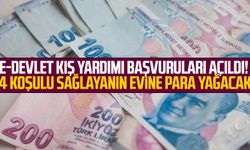 e-Devlet kış yardımı başvuruları açıldı! 4 koşulu sağlayanın evine para yağacak