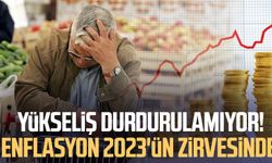 Yükseliş durdurulamıyor! Enflasyon 2023'ün zirvesinde