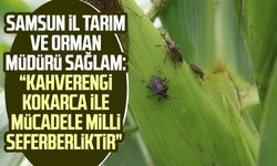 Samsun İl Tarım ve Orman Müdürü İbrahim Sağlam: “Kahverengi kokarca ile mücadele milli seferberliktir”