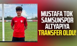Mustafa Tok Samsunspor altyapıya transfer oldu!