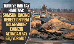 Türkiye diri fay haritası: Samsun kaçıncı derece deprem bölgesinde? Evinizin altından fay geçiyor mu?